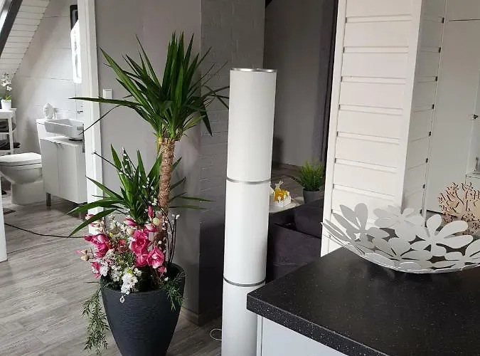 Elegance Apartamento *